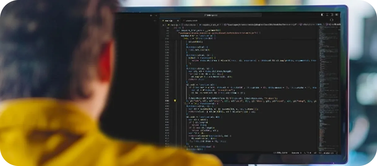 Mineweb developer reviewing code on a large monitor